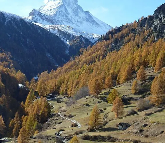 Panoramic View Flat *